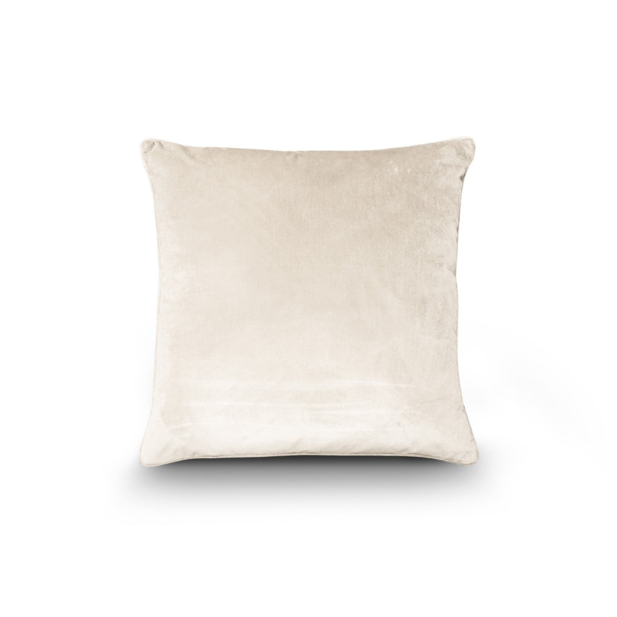 Porcelain Velvet Cushion