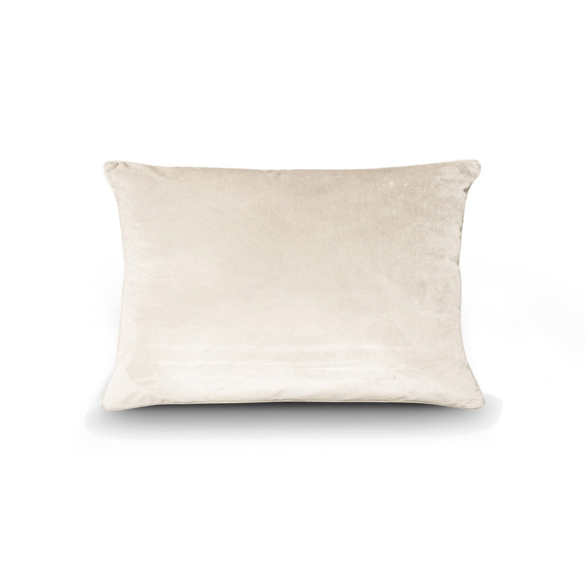 Porcelain Velvet Cushion