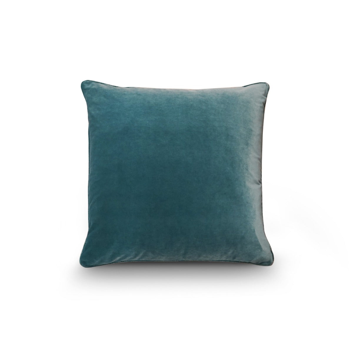 Templeton Velvet Cushion