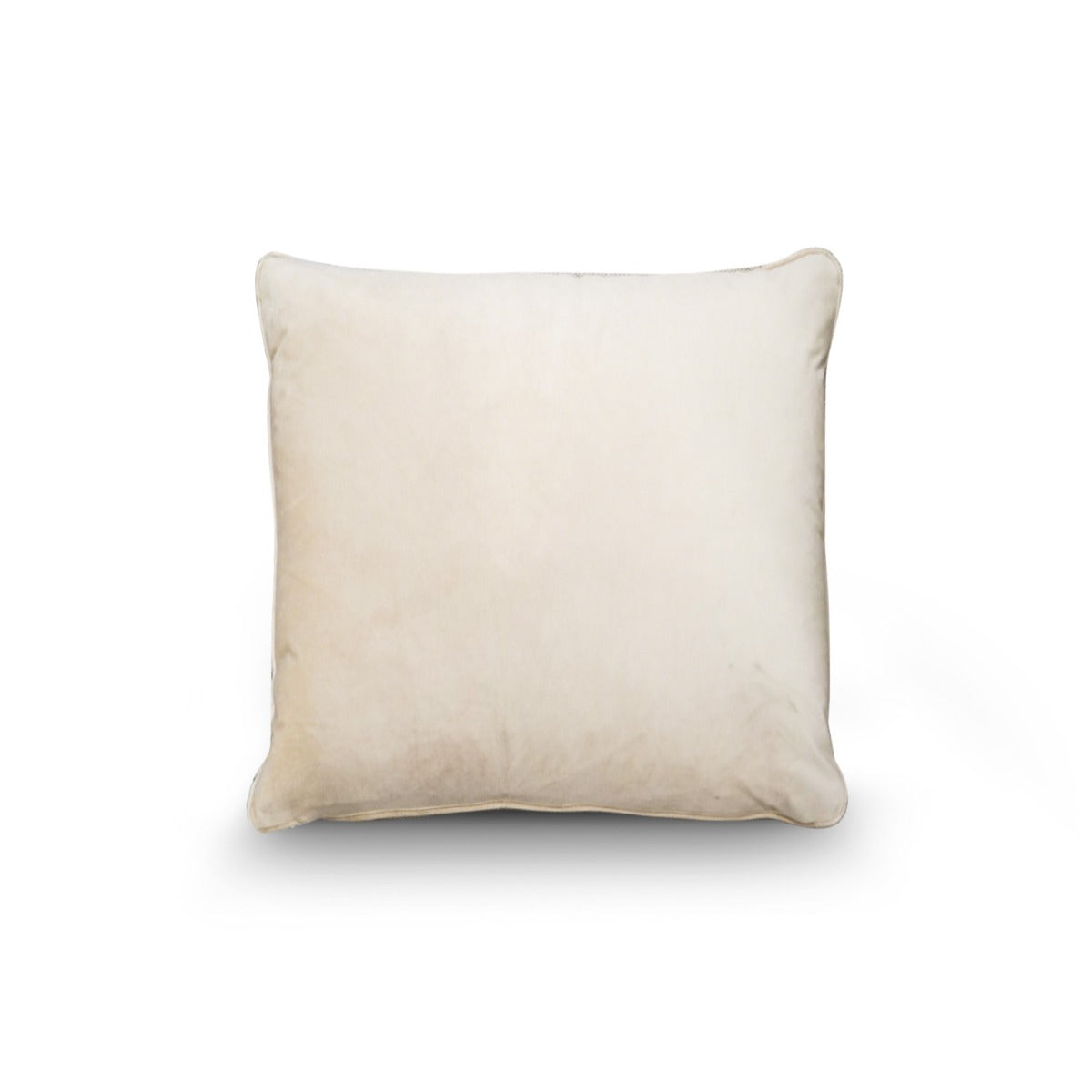 Chiffon Velvet Cushion