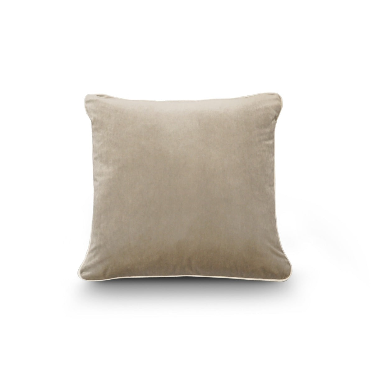 Alabaster Velvet Cushion