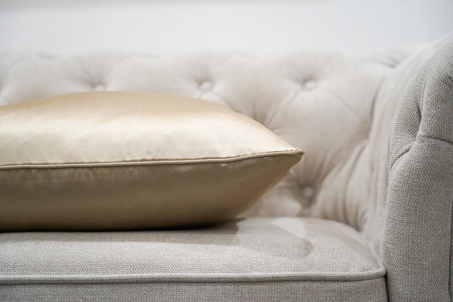 Silky Champagne Cushion
