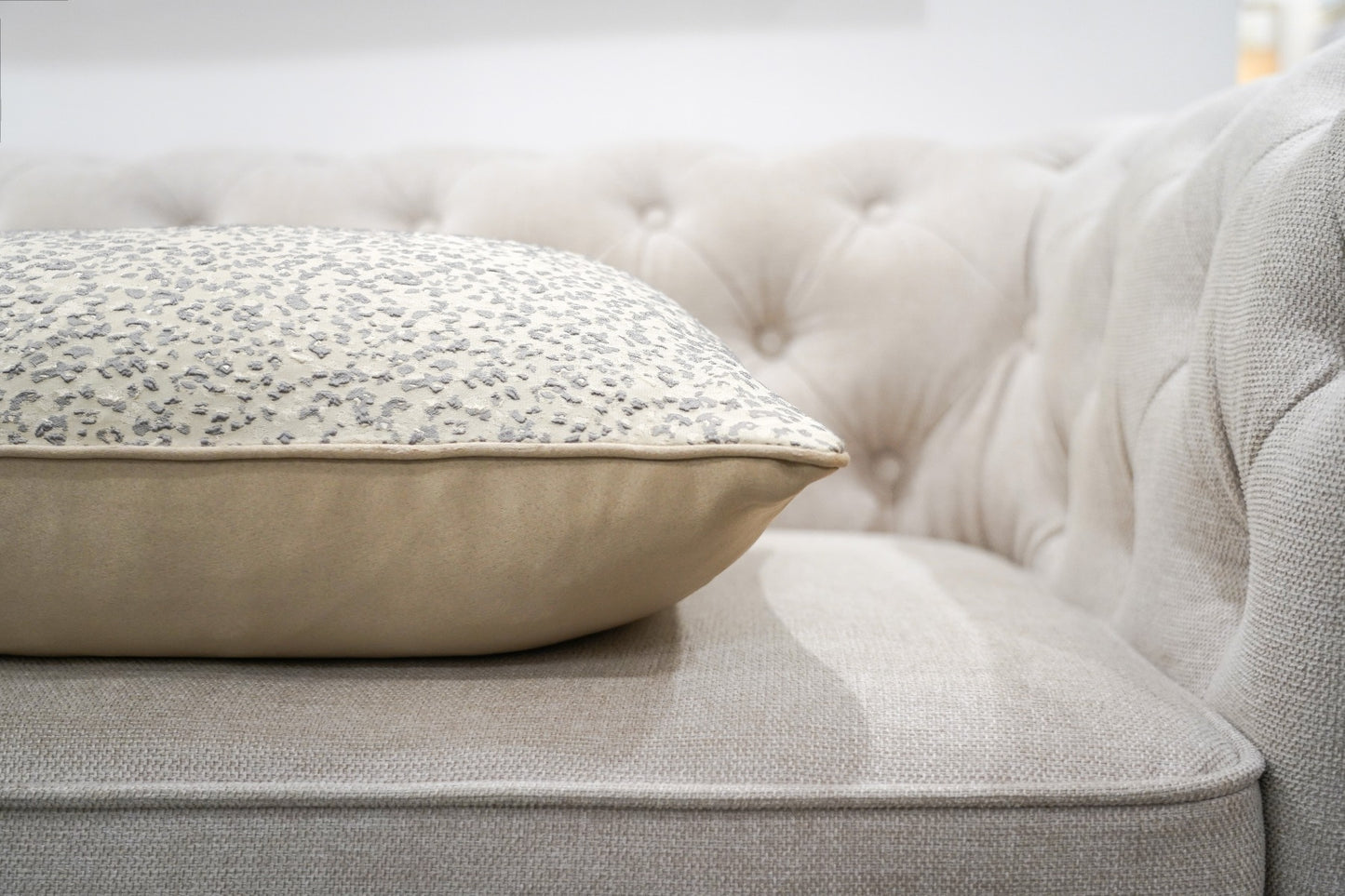 Madagascar Cushion
