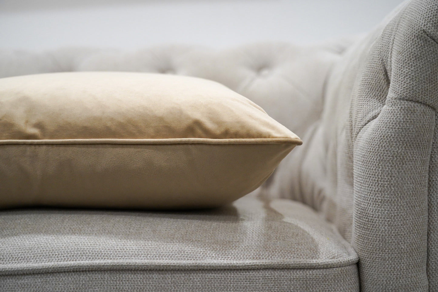 Sandalwood Velvet Cushion