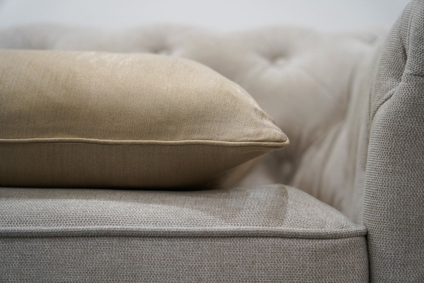 Papyrus Cushion