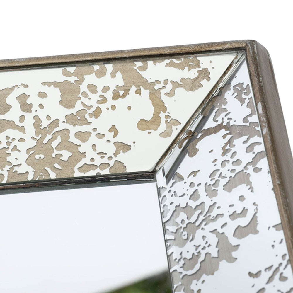 61CM Tray/Mirror