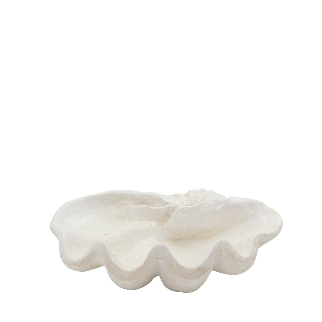 Clam Shell