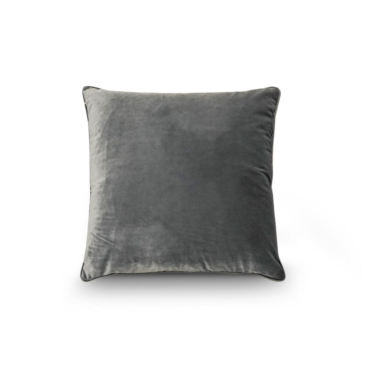 Nickel Velvet Cushion