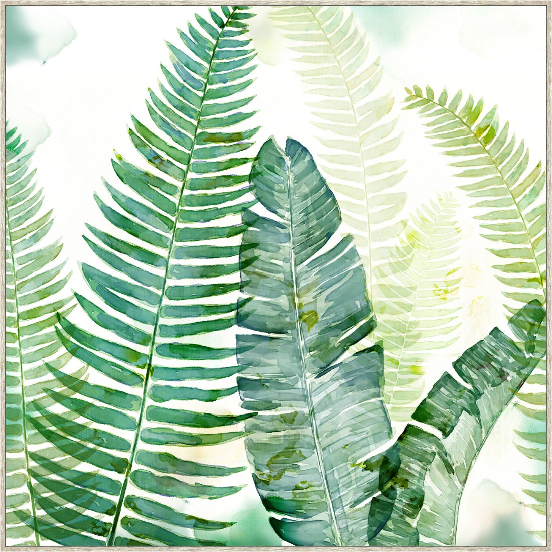 Ferns Framed Canvas