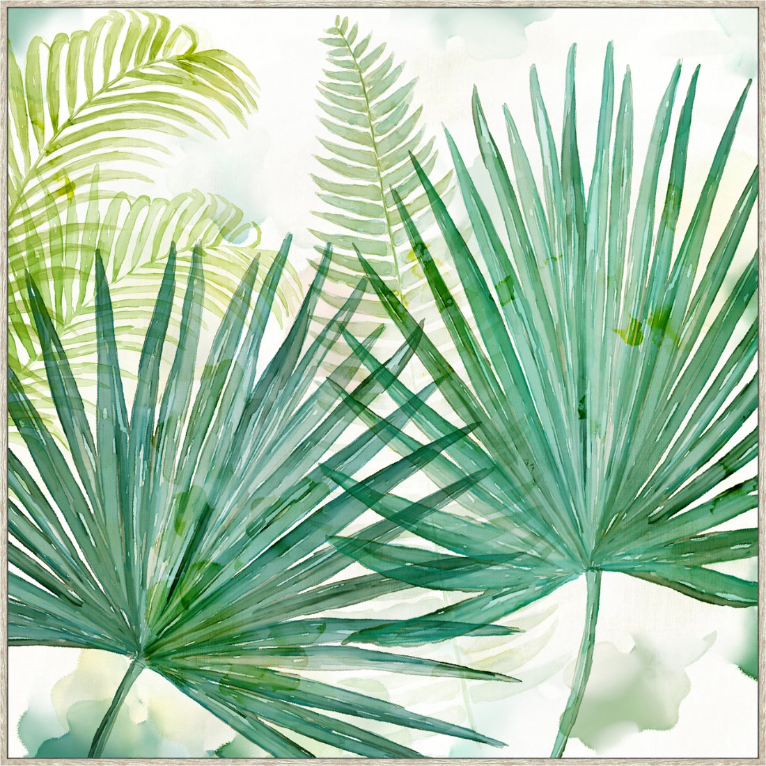 Ferns Framed Canvas
