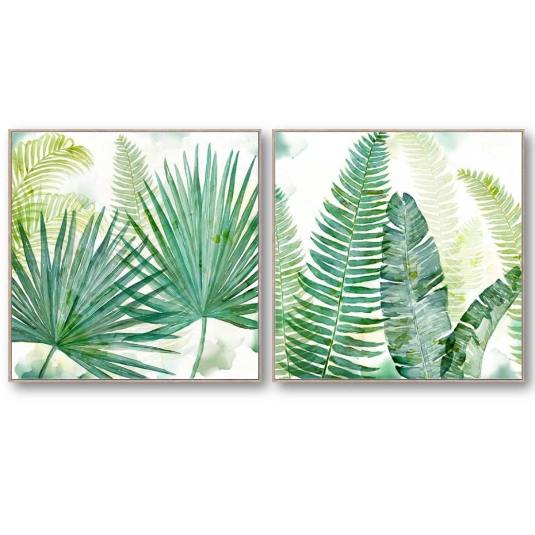Ferns Framed Canvas
