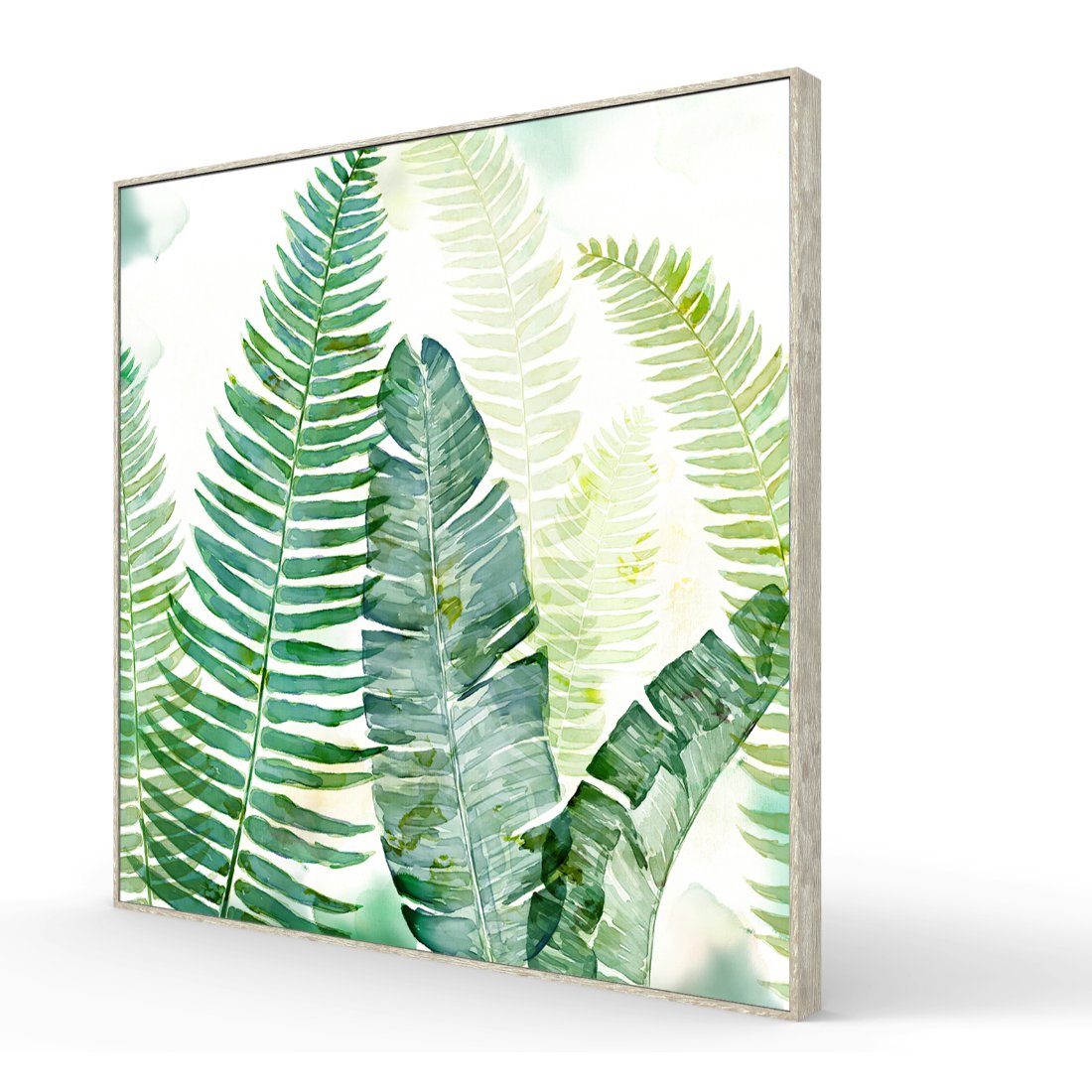 Ferns Framed Canvas