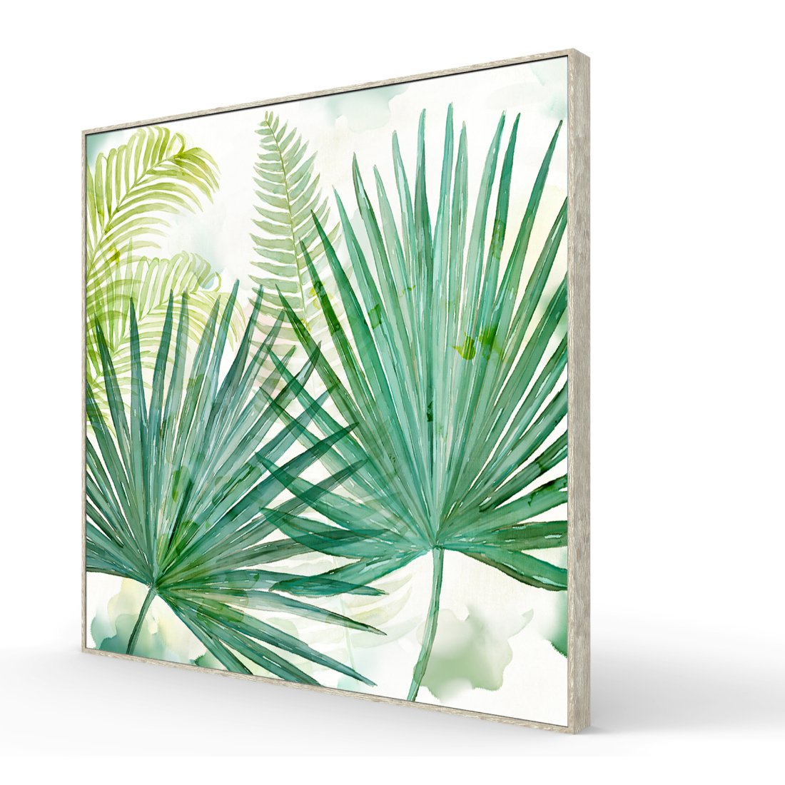 Ferns Framed Canvas