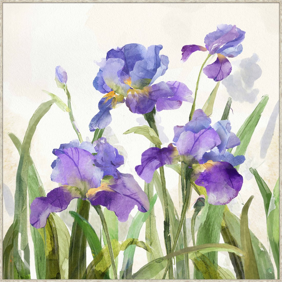 Purple Lily Framed Canvas