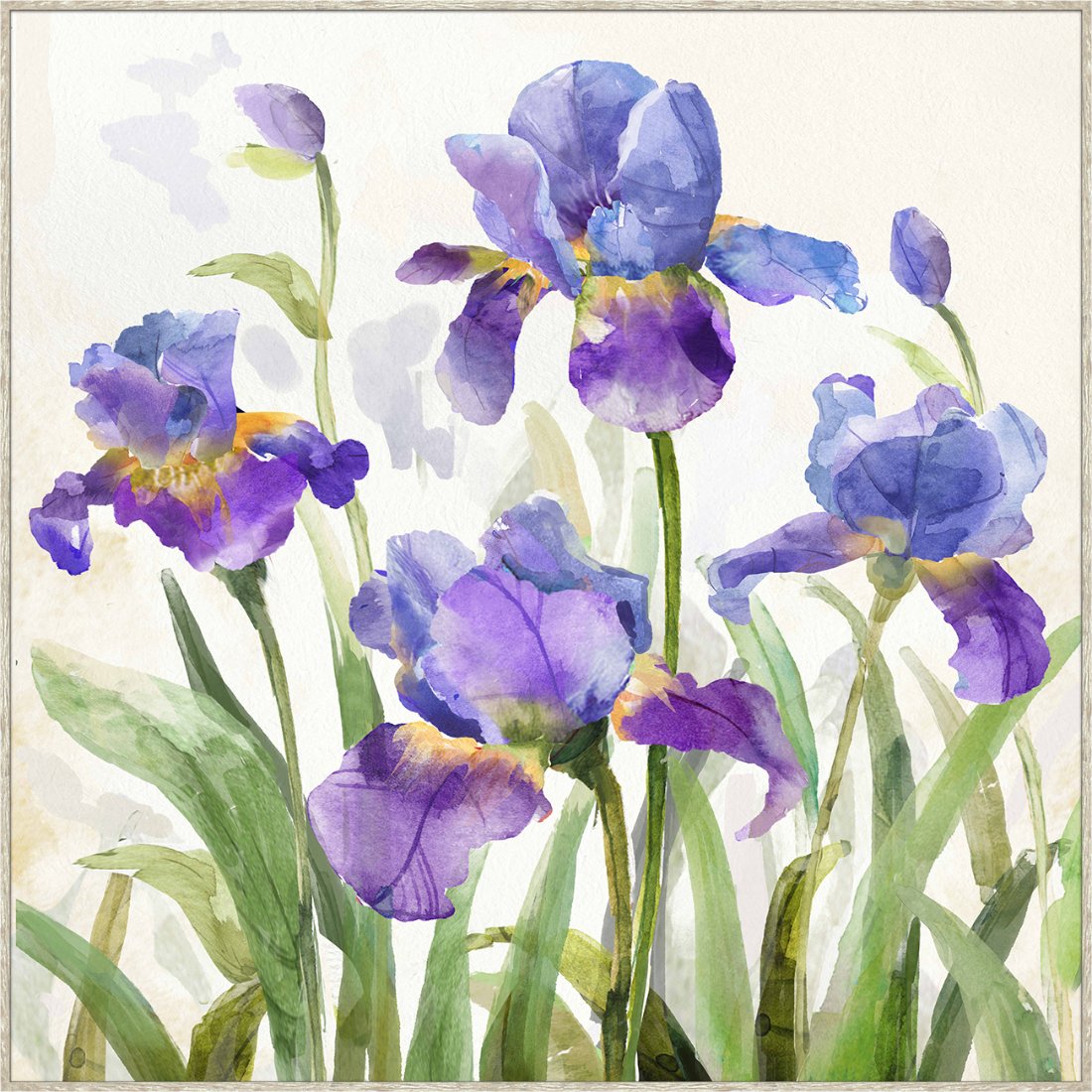 Purple Lily Framed Canvas
