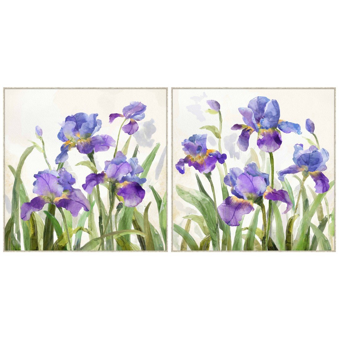 Purple Lily Framed Canvas