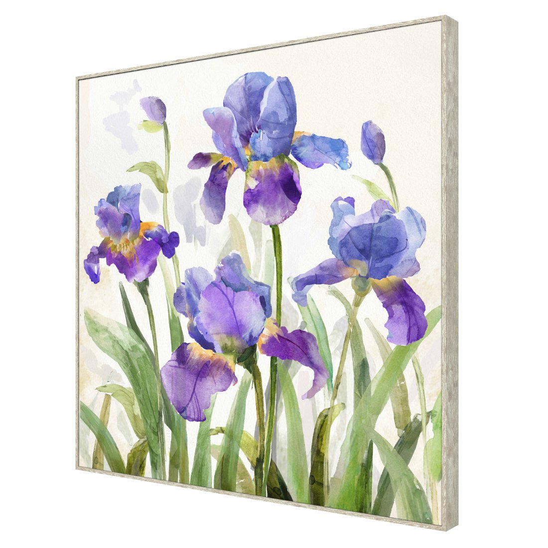 Purple Lily Framed Canvas