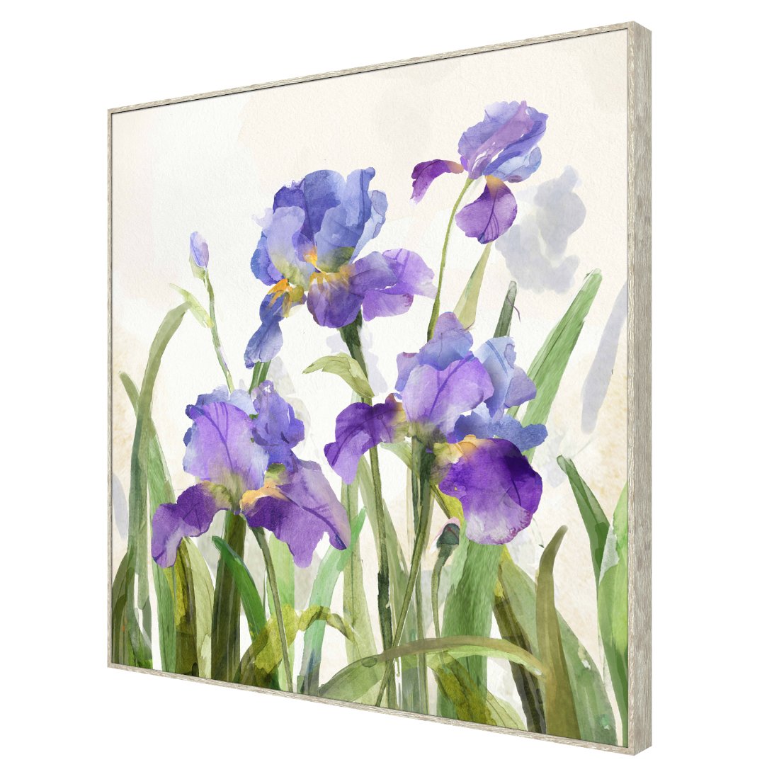 Purple Lily Framed Canvas